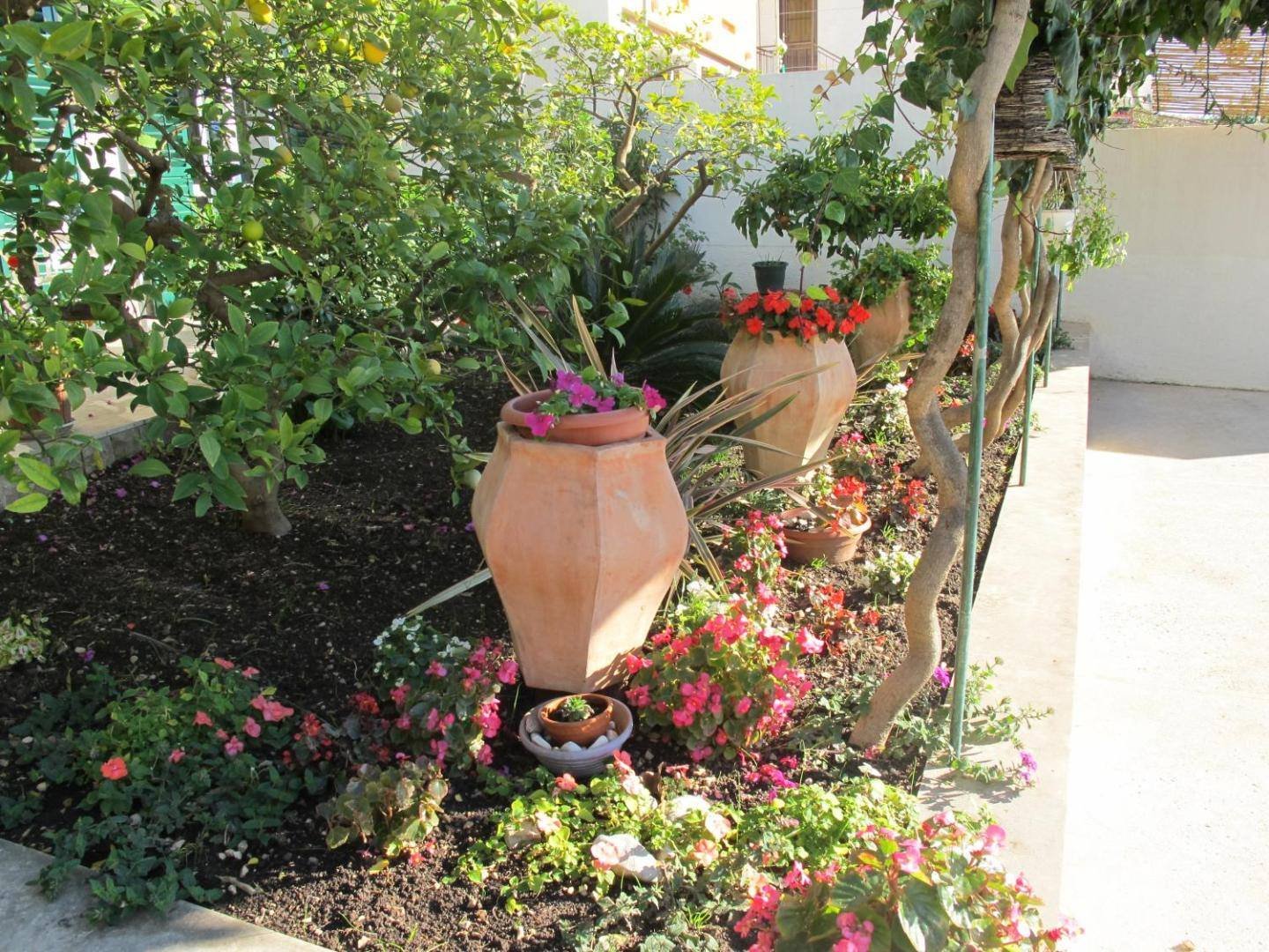 Villa Rosa: Mediterranean garden with pots and flowers